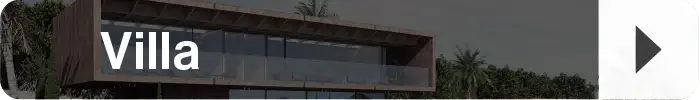 Villa案