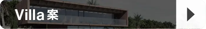 Villa案