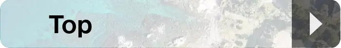 Topボタン