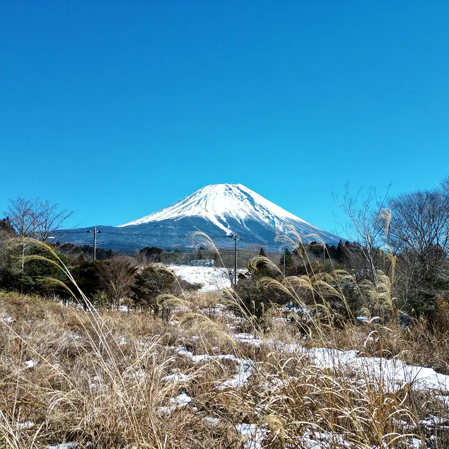 「大迫力の富士山view」の画像