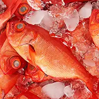 まるい鮮魚店の画像