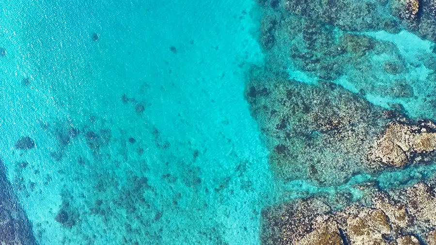 「海の透明度」の画像